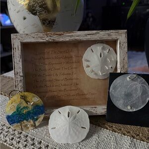 #7-Legend of the sand-dollar shadow-box w/freshwater pearls, CZ Easter gift